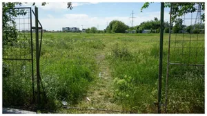 Se schimbă legea pentru proprietarii de terenuri. Noua obligație va fi valabilă minim 7 ani