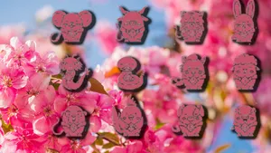 3 zodii chinezești care atrag succesul financiar în a doua parte a lunii martie. Viața nativilor se poate schimba peste noapte
