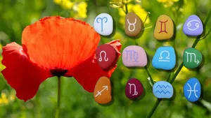 Horoscop 25 aprilie 2025. Vineri se numără zilele rămase până la viitorul salariu. Ce zodii au făcut excese în minivacanţa de Paşte