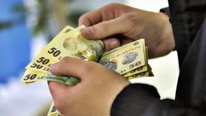 Se dau peste 200 de lei de la stat până pe 30 aprilie 2025. Cine primeşte banii
