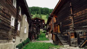 Ți se dă casă gratis cu livadă și teren, la doi pași de natură. Singurele două condții pe care trebuie să le respecți
