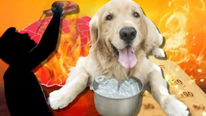 Noua prognoză Accuweather zguduie vara românilor. Iulie se transformă într-un adevărat iad termic, când scăpăm de caniculă