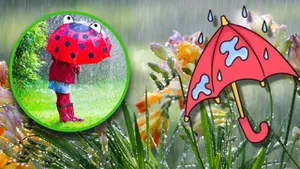 Prognoza meteo 19 august 2025. Vreme de toamnă în plină vară. Ploi torențiale și vijelii