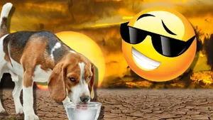 Schimbare radicală a vremii după valul de furtuni. Romica Jurca are prognoza oficială a ANM. Cum arată hărţile meteo pentru toată luna august
