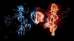 Iubăreții zodiacului VENUS și MARTE deschid PORTALUL IUBIRII și al deciziilor din 14 septembrie 2025! Ultimul test înainte de Eclipsa de Soare pentru aceste ZODII