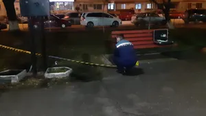 Femeie înjunghiată într-un parc din Alexandria