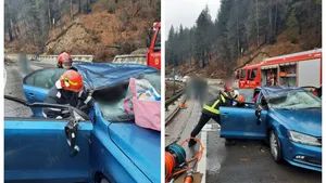 Femeie decedată după ce un copac a căzut peste maşina ei. Copiii şi soţul s-au salvat în ultima clipă