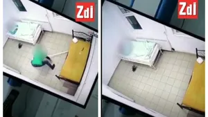 Şobolan filmat în timp ce se plimba prin salonul unui pacient. Imagini şocante la Spitalul de Psihiatrie Socola din Iaşi