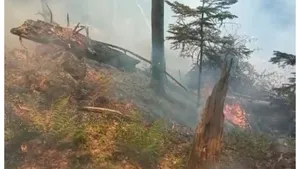 Incendiu devastator în Prahova. Arde pădurea dintre Sinaia şi Buşteni VIDEO