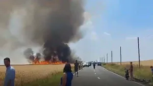 Incendiu devastator în Timiş, ard hectare întregi de cereale VIDEO