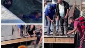 Scene dramatice în Galaţi. Un copil a căzut în Dunăre, în timp ce încerca să se urce pe bac. VIDEO