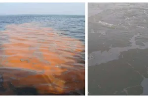 Alertă de poluare cu petrol pe Dunăre! Apele sunt afectate pe o lungime de minim 6 kilometri