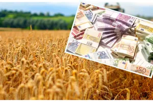 Finalul de weekend vine cu vești bune pentru români! Fermierii vor beneficia de ajutoare majorate. Comisia Europeană a decis