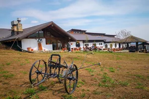 România cere garanții ferme pentru fermieri în negocierile UE-Mercosur și viitoarea PAC