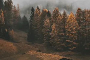 Meteo de weekend. ANM anunță cum va fi vremea pe 30 septembrie și 1 octombrie, dar și în următoarele zile