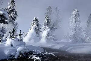 Alertă meteo de ninsori în România. ANM, anunț de ultimă oră privind ciclonul polar