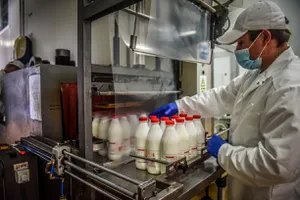 Cea mai mare fabrică din România ce prelucrează lapte a fost dotată cu roboți și energie regenerabilă. A dat lovitura pe piață după trei decenii