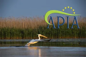 APIA refuză să plătească subvențiile pentru stuful din Delta Dunării. Ionuț Lupu, fost director APIA: „Din punctul meu de vedere este o decizie corectă”