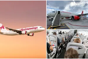 Animawings, cel mai mare rival al TAROM, lansează noi rute de zbor. Nu o să îți vină să crezi cât costă! 
