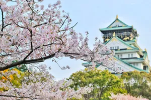Cât costă o vacanță în Japonia în vara lui 2024. Câți bani ar trebui să scoți din buzunar pentru zbor și cazare