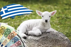 Bătaie pe carnea de miel de la români, în Grecia! Crescătorii de animale greci protestează: „Este o înșelăciune!”