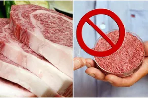 Consumul acestui tip de carne va fi complet interzis în România! Proiectul de lege a trecut de Senat