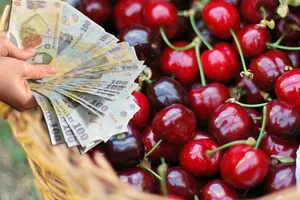 Primele delicii ale verii 2025. Căpșunile și cireșele românești au invadat piețele!