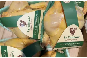 Puiul „vopsit în galben” devine istorie! A apărut „puiul vegetarian”. Produsul care stârnește interesul românilor