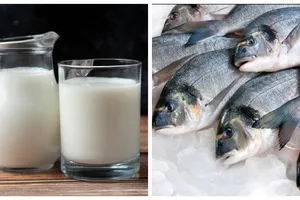 România va exporta lapte şi peşte în China. Noi oportunităţi pentru producătorii locali