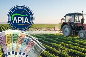 APIA anunță o creștere semnificativă a subvențiilor. Câți bani vor primi fermierii din 2025