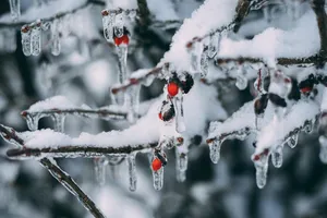 Iarna lovește puternic România. Ninsori, viscol și ger de până la -15 grade Celsius