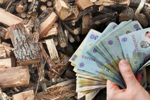 Lemnele de foc s-au scumpit și cu 20% în 2024. Cât a ajuns să coste metrul cub în județele montane