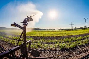 Fermierii români primesc peste 527 milioane euro. MADR anunță plăți record pentru 2025