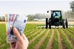 Se caută fermieri români pe un salariu de 3.000 de lei pe lună. Cine se poate angaja