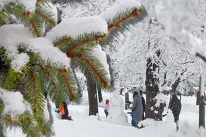 Val de ger în România pe 11 ianuarie. Temperaturi negative și ninsori viscolite în toată țara
