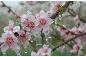 Primăvara debutează cu temperaturi de până la 17 grade: Început de martie mai cald decât normalul perioadei