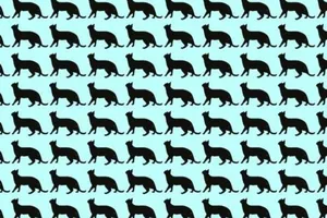 Testul IQ care te va lăsa fără cuvinte! Doar 1 din 100 de români reușește să găsească pisica ascunsă în doar 5 secunde!
