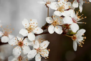 Prognoza meteo 22 aprilie. Temperaturi de vară în următoarele zile. Când se răcește vremea
