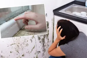 Șase soluții naturale să scapi de mirosul de aer închis din casă
