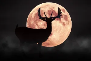 Luna Plină a Cerbului, din 10 iulie, stimulează relaţiile şi viaţa amoroasă. 5 zodii vor beneficia la maximum de potențialul transformator al lunii