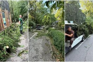 Dezastru la Grădina Zoologică București și după furtuna de joi. Accesul vizitatorilor interzis pentru trei zile