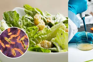Descoperire șocantă după un control în supermarket: salatele puse la vânzare conțineau o bacterie fatală. Cum a reacționat firma
