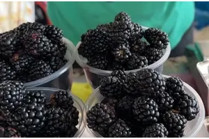 Cireşele de mai şi-au găsit un concurent serios. Cât a ajuns să coste un kilogram de mure în pieţe