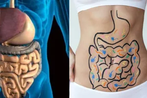 Sănătatea intestinelor nu se măsoară în zile. Ce spune știința despre mitul mersului zilnic la toaletă