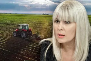 ANAF scoate la licitație 40 de hectare de teren deținute de Elena Udrea. Prețul de pornire este de 1,9 milioane de lei
