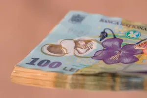 Bărbatul care câștigă peste 710.000 de lei pe an din funcții publice și private