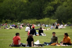 Socializatul zilnic cu prietenii ajută sănătatea mintală, reduce stresul și susține sistemul imunitar, arată un studiu