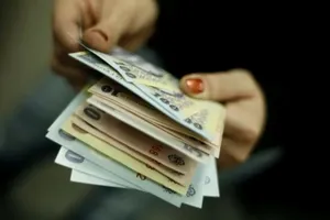 IT-ul aduce cele mai mari salarii după facultate. Medicina și dreptul, mult în urma câștigurilor