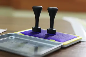 Încep înscrierile pentru alegerile parțiale din 7 decembrie. Candidaţii îşi pot depune dosarele de marţi