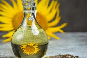 Bulgarii au preluat Argus Constanța. Compania românească de ulei cu o istorie de aproape un secol intră în portofoliul Buildcom Eood